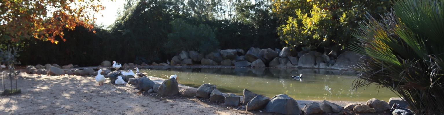 Estanque Parque El Bodegón-cabecera